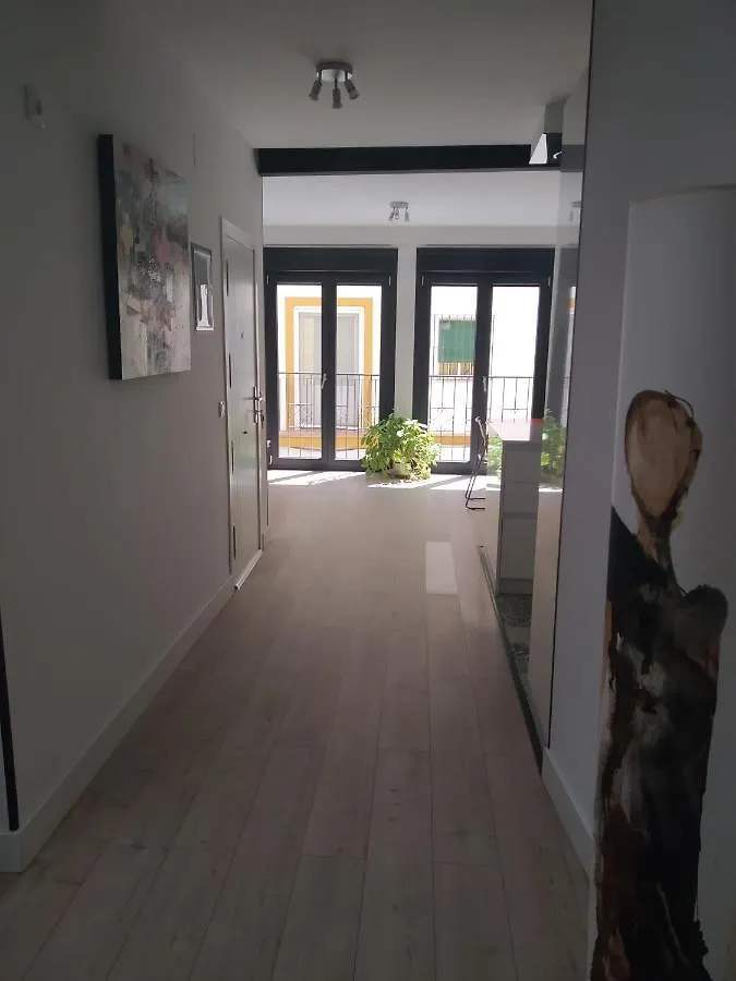 Casa Libelula, Loft En El Centro De Sevilla. Apartment